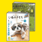 いぬのきもち　10月号　雑誌